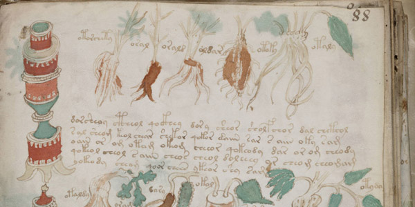 Mysterieus Voynich-manuscript…
