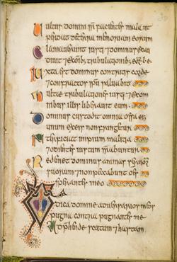 Celtic Psalter - oudste boek …